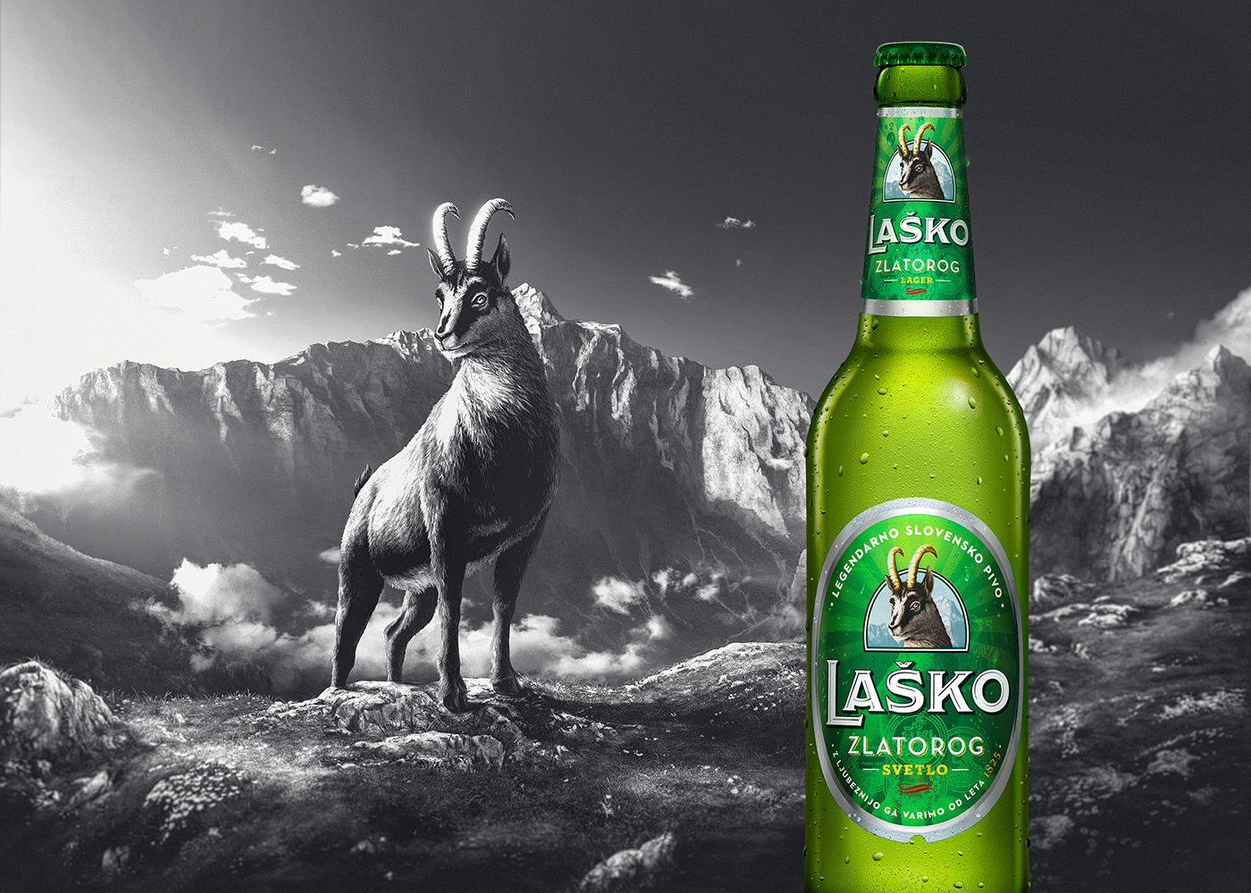 Laško